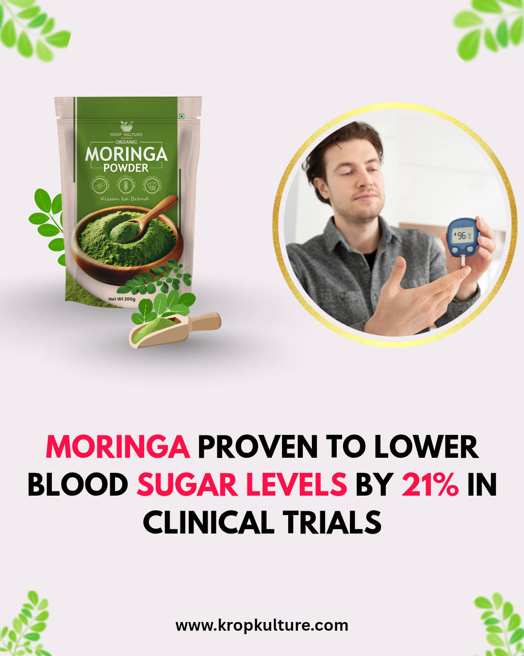 Organic Moringa Powder 200g