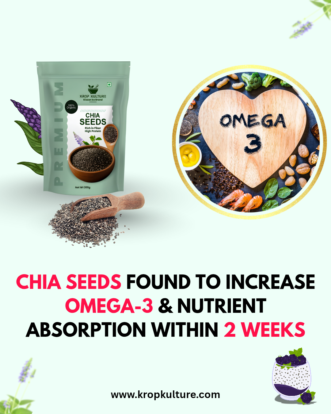 Organic Chia Seeds 200g
