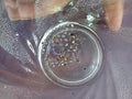 Customer photo 4