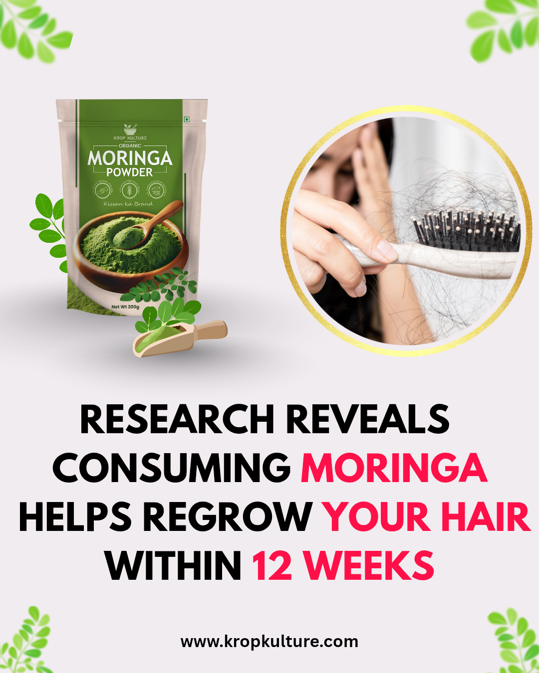 Organic Moringa Powder 200g