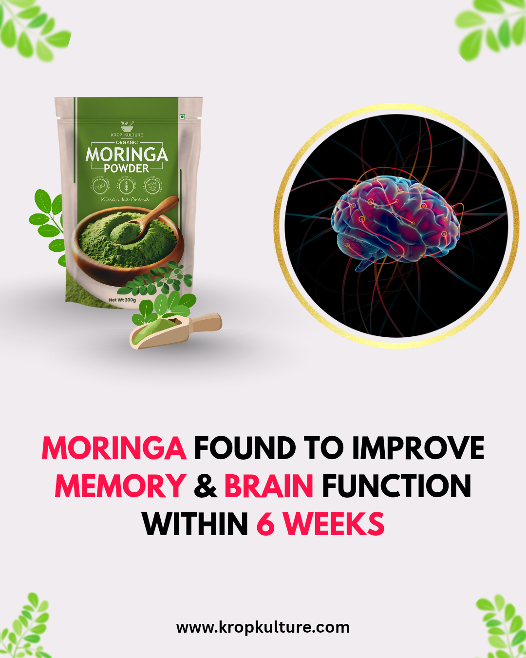 Organic Moringa Powder 200g